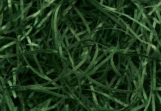 vf-fo zoom-veryfine-cut-forest-green-5kg