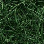 vf-fo zoom-veryfine-cut-forest-green-5kg