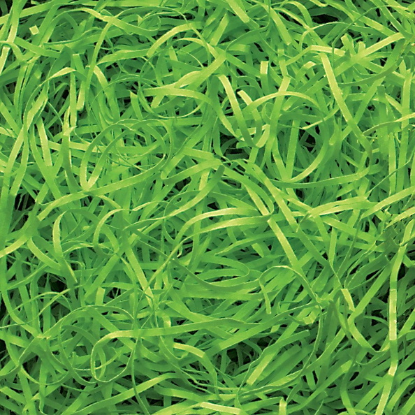 vf-lm_zoom-veryfine-cut-lime-green-5kg (1).jpg