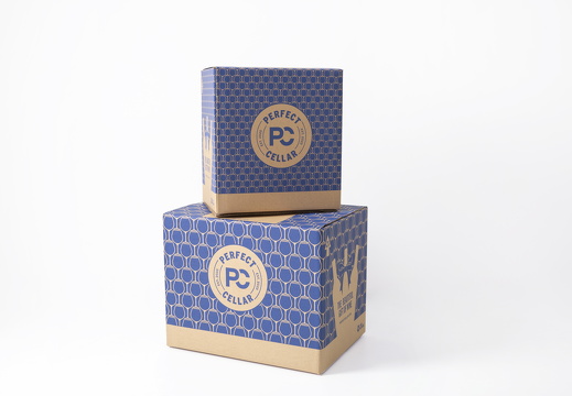 BESPOKE_BEER_X_TRANSIT_CAPS CASES