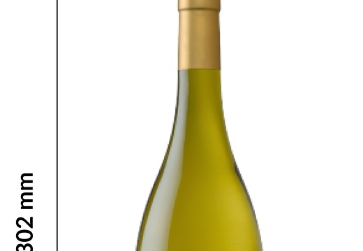 BOTTLE_GUIDE_IMAGES